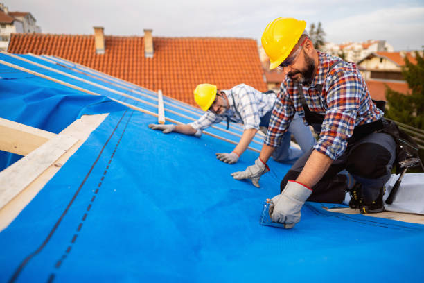 Best Roof Gutter Cleaning  in Newington Forest, VA